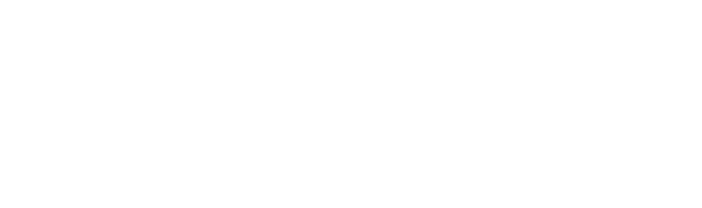 DT Academy